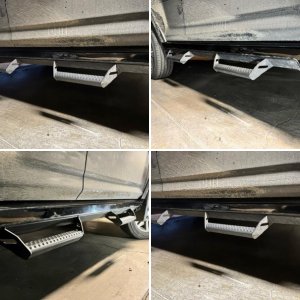 OEM Predator Steps on OG 2010
