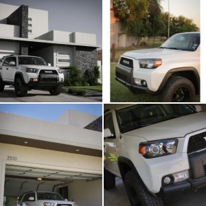 Herby's blizzard Pearl TE conversion RIG