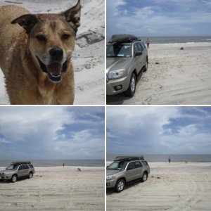 Carolina Beach