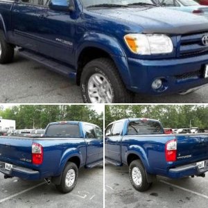 The Tundra