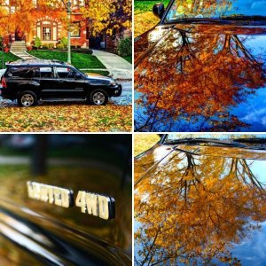 Random Pics