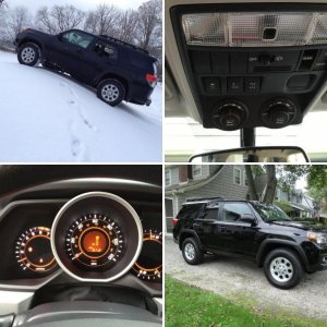 Runner for Sale