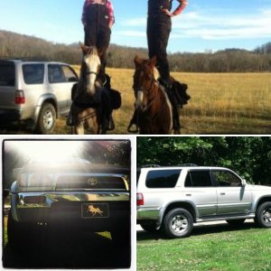 Country Life