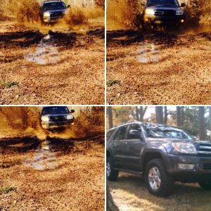 2005 runner