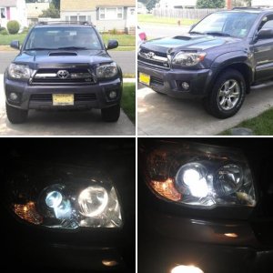 The Beast