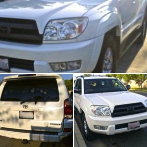Plasti Dip