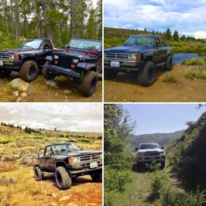 Just Some Pics of the Runner