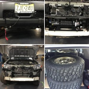 From stock to beast