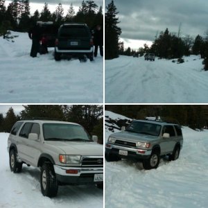 1998 Sport