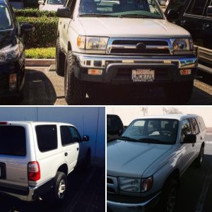 My t4r