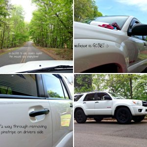 2008 SR5 V6 4WD