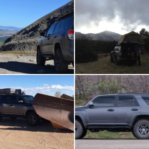 T4R 5th Pics