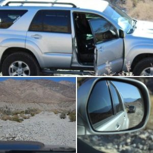 Desert Fun