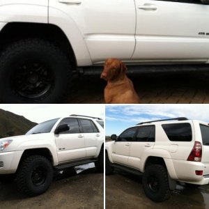 2004 Rig
