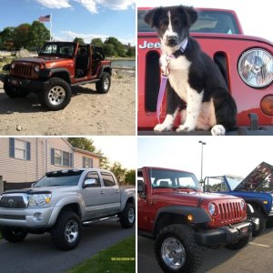 My other babies.