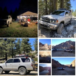 My Brute