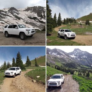 2014 Trail Edition Premium