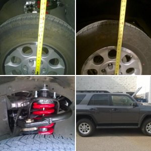 Jukes' 2013 TE