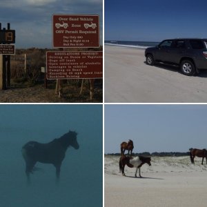 Assateague