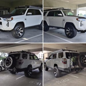 2014 SR5 (Snow Leopard)