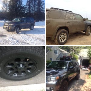 2010 Trail