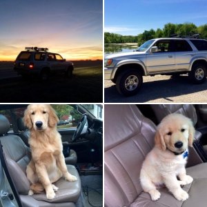 My 1999 Limited 4Runner.