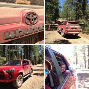 2014 BR SR5
