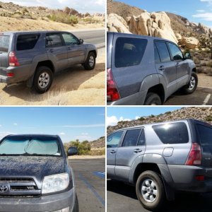 Joshua Tree