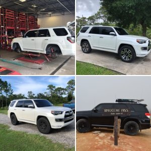 A Few Pics