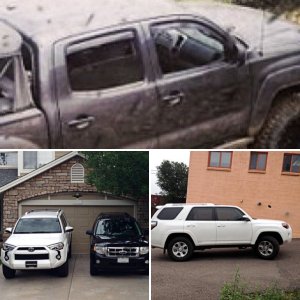photos