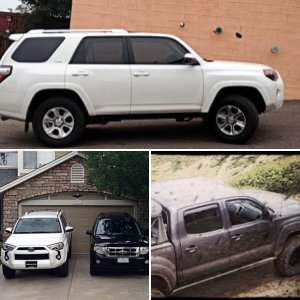 photos