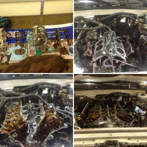 Head Gasket