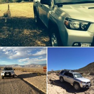 2013 Toyota 4Runner Trail KDSS