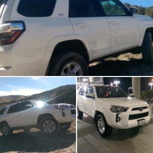 From the showroom floor to the mountains