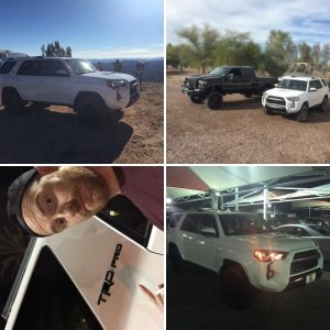 TRD PRO