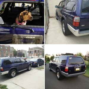 New to forum
