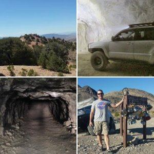 Random Trips