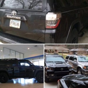 2013 Trail Progress