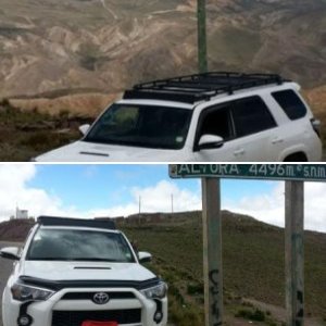 from BOLIVIA