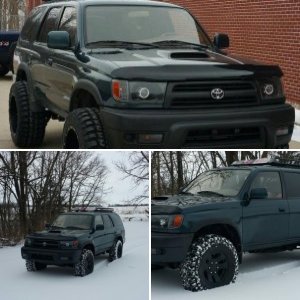 Evergreen Beast