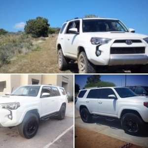 2015 TE