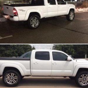 taco