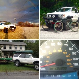 T4R pics