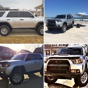The New Guy 2012 TE