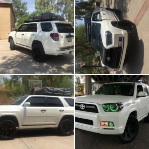 The Limited Stormtrooper