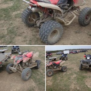 03 Predator 500