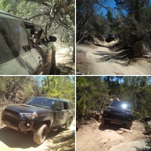 Holcomb Valley