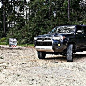 2015TE