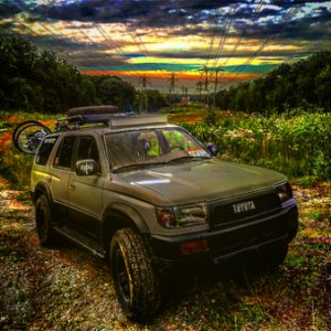 My t4r