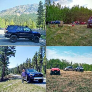 2015 T4R Trail Edition Custom Build